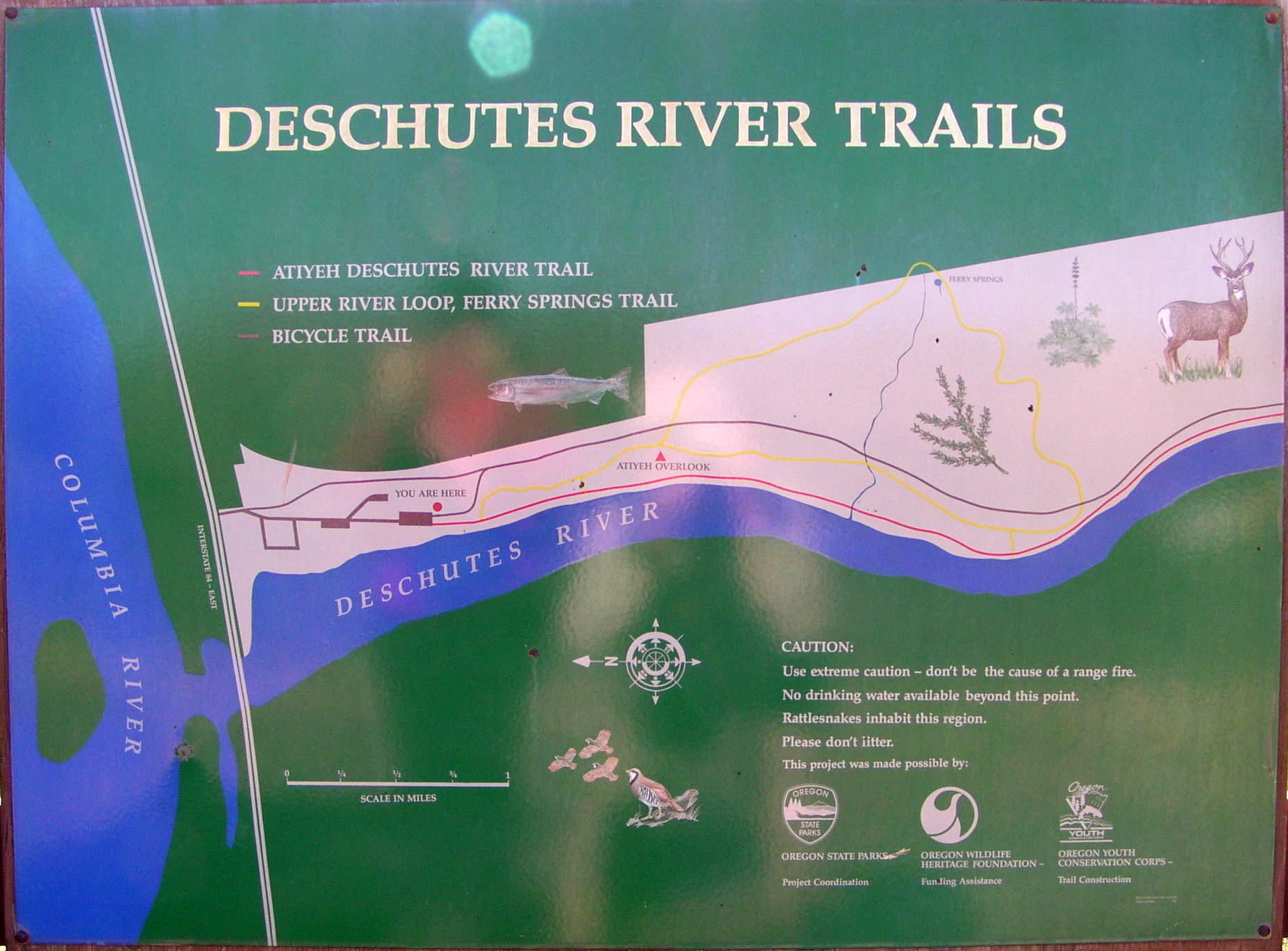 Cascade Ramblings - Cascader: Deschutes River Trail: Sherman County
