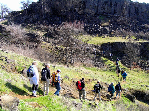 Columbia Gorge Trail: Catherine Creek Labyrinth